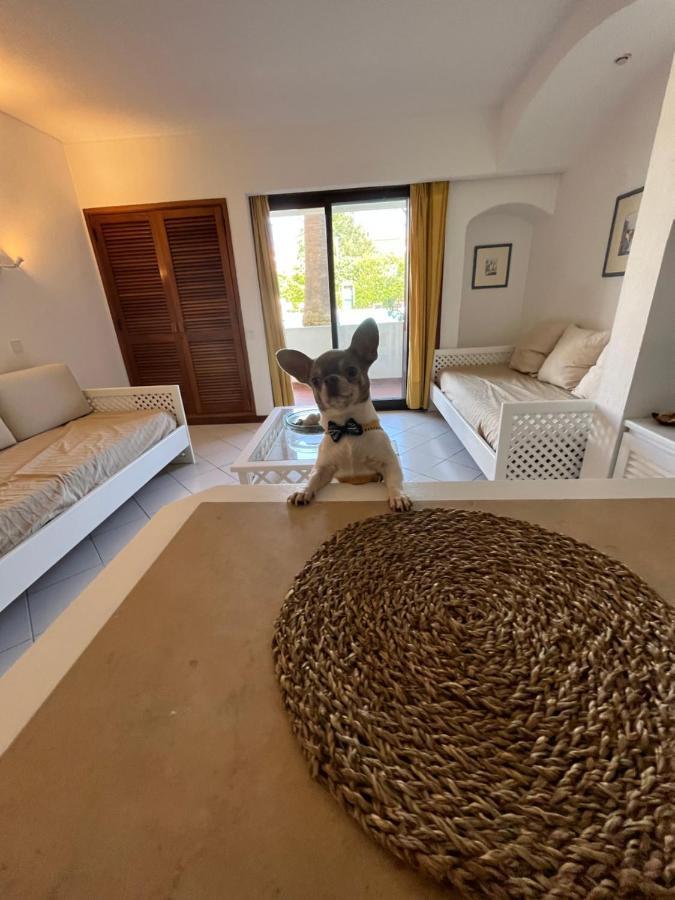 Lv Apartment อัลบูเฟรา ภายนอก รูปภาพ